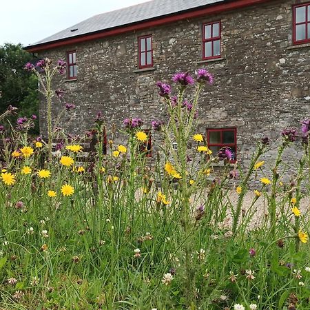 The Old Mill, Kilcorkey, Bellanagare, Castlerea, County Roscommon - West Of Ireland -House 1别墅 外观 照片