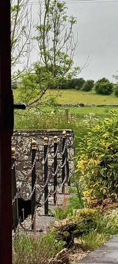 The Old Mill, Kilcorkey, Bellanagare, Castlerea, County Roscommon - West Of Ireland -House 1别墅 外观 照片