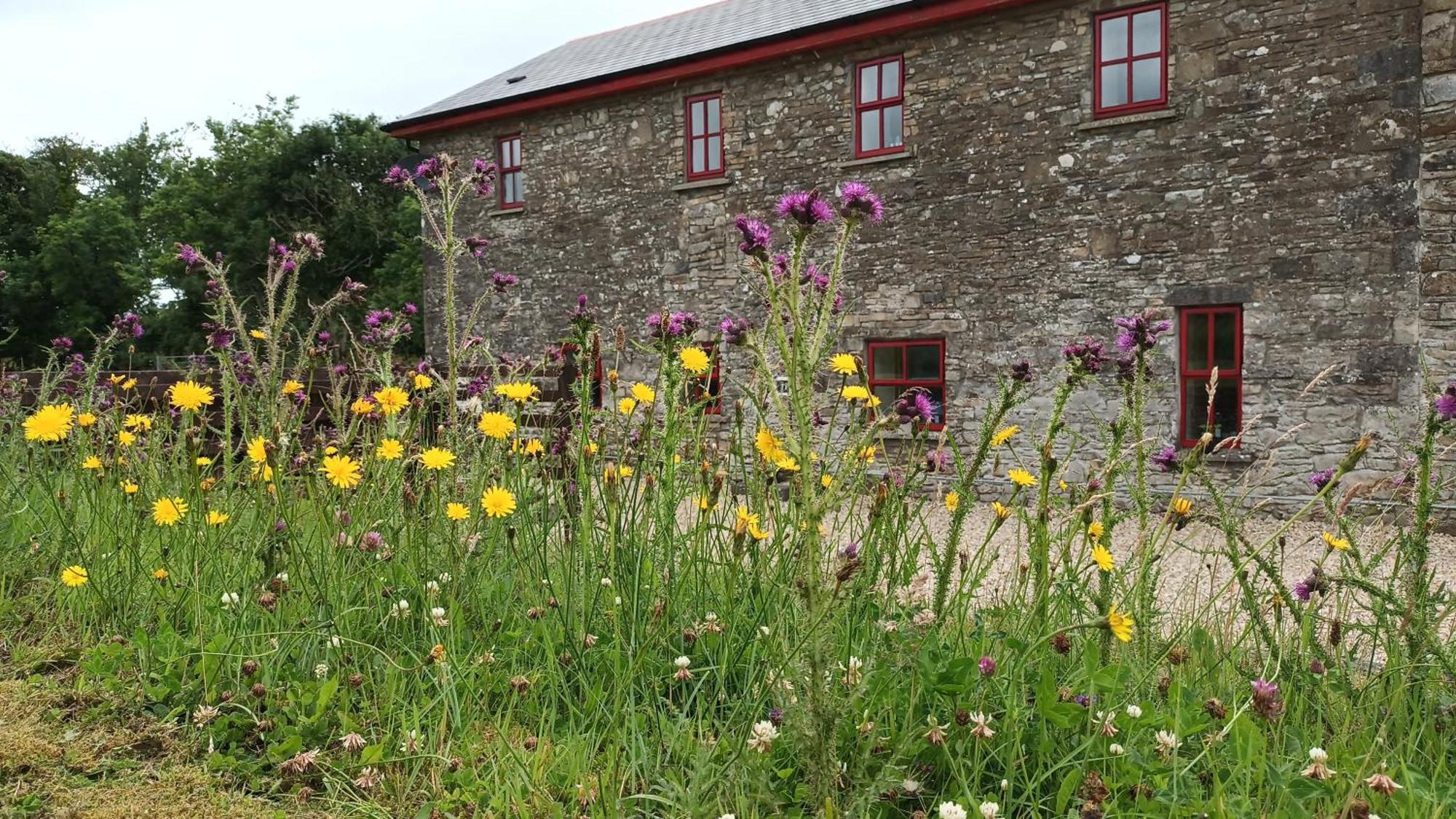 The Old Mill, Kilcorkey, Bellanagare, Castlerea, County Roscommon - West Of Ireland -House 1别墅 外观 照片